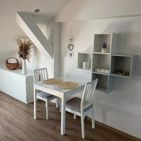 Cerny Tulipan - Apartman 6 Plzen Exterior photo