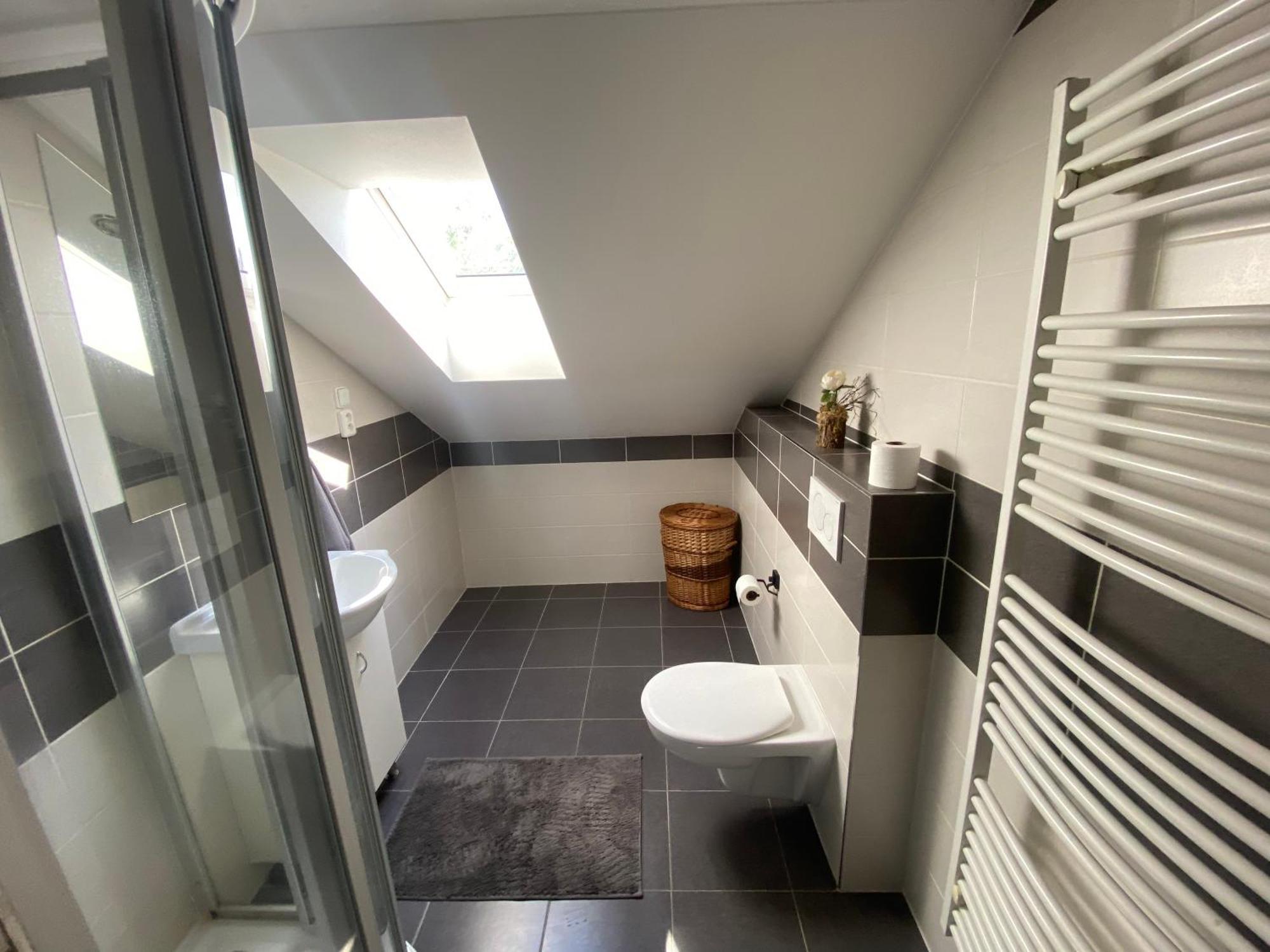 Cerny Tulipan - 6 Apartmán Plzeň
