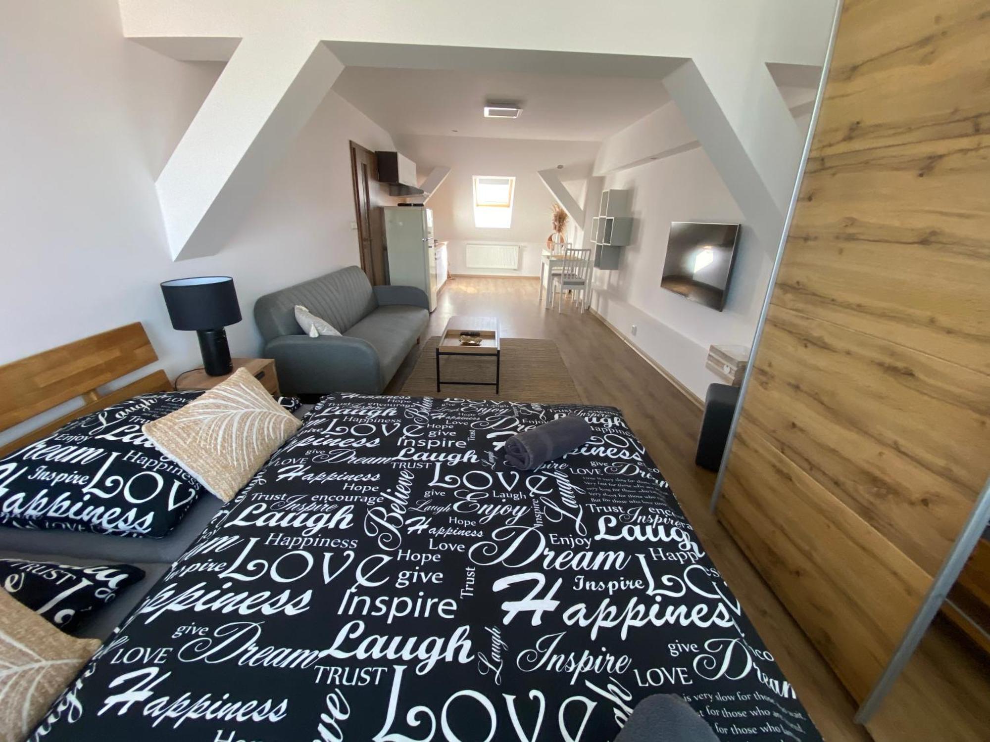 Apartment Cerny Tulipan - 6 Plzen