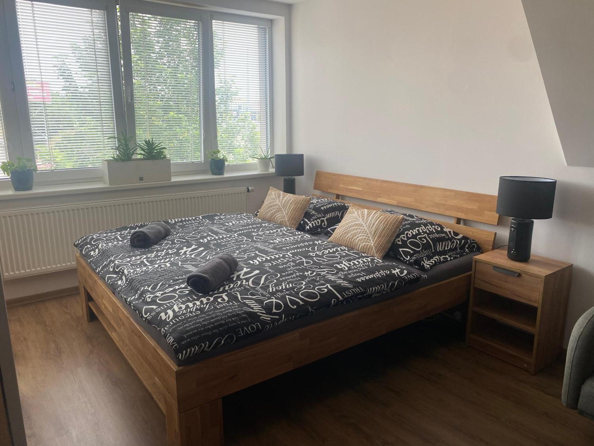 Cerny Tulipan - 6 * Plzen